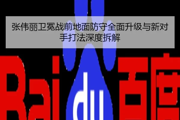 张伟丽卫冕战前地面防守全面升级与新对手打法深度拆解